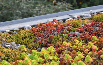 the cost of Patna green roof installation