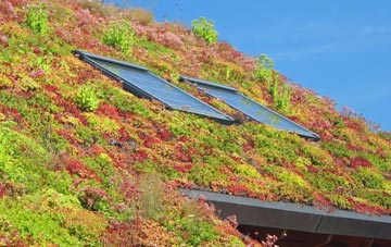Patna living roof systems