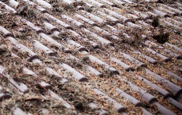 Patna roof cleaning companies